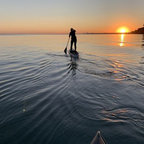 E54fc610 fa4f 475f 830f 6b45cdbe6910