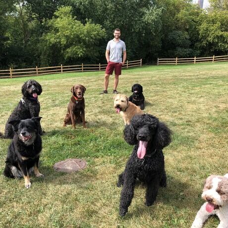 70576090 10212057580074847 8992183477843525632 o