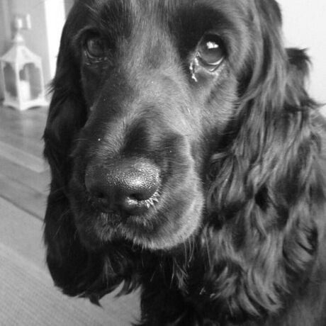 F1eed592 8752 48d7 a8a4 7f4efd1aaff6