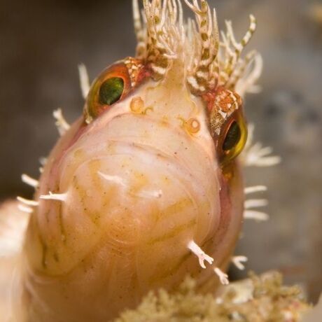 0b2436cf f2ba 42f1 bdc3 d940fbd88539