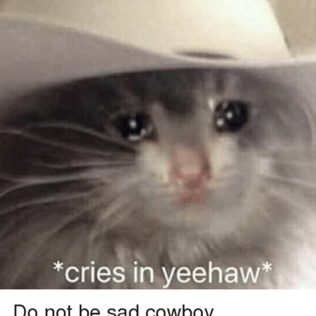 Cries in yeehaw do not be sad cowboy 38182697