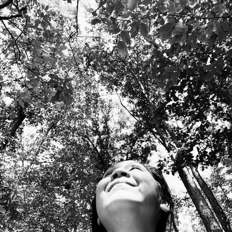 09dd700b 4b25 45f9 bd96 e014ae79a1e5