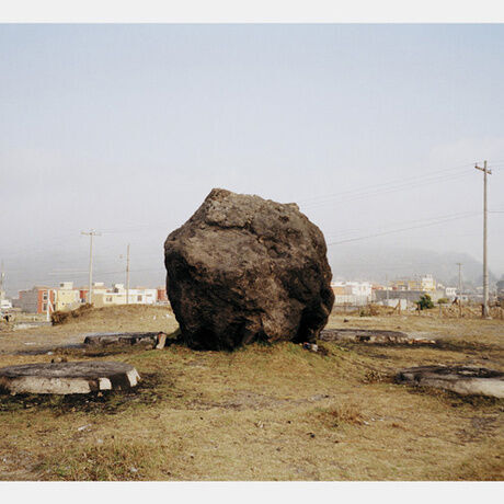 Diente de chucho ee 4