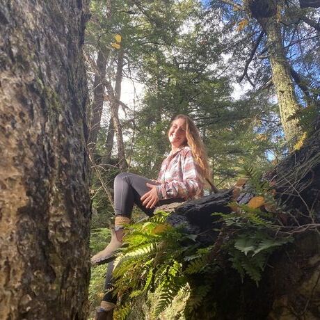 1c45d170 f20c 4982 a339 8e2cd037356e