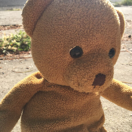 Ddf404e4 d802 498c b3f8 aaf96b3be6e6