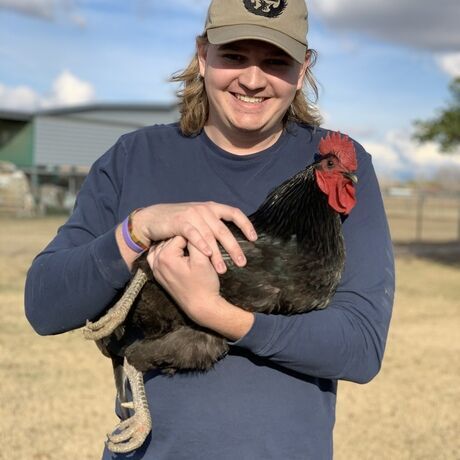 044305aa 6767 4bff bd83 0f7b42af565f