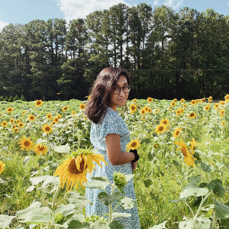 D5a4d23a 3f54 4ddb abeb a12a533226ac