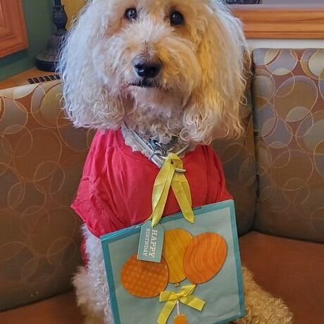 Inbound5949457368820219515