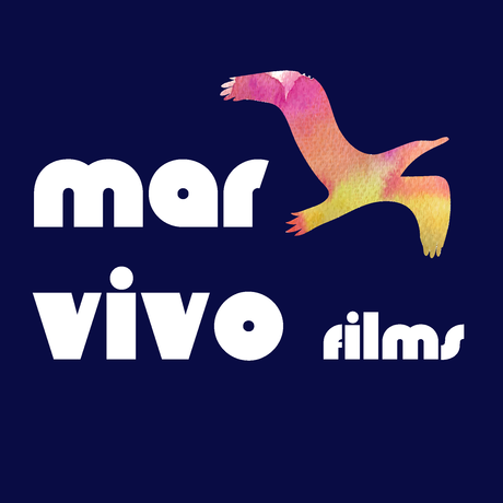 Mvf logo square 2016 04