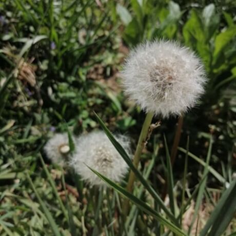 93773884 538362436862811 8388834078488526848 n