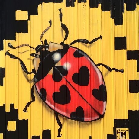 Sweet ladybug