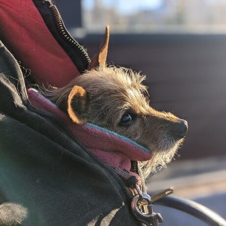 Pxl 20201208 221018423.portrait 01.cover