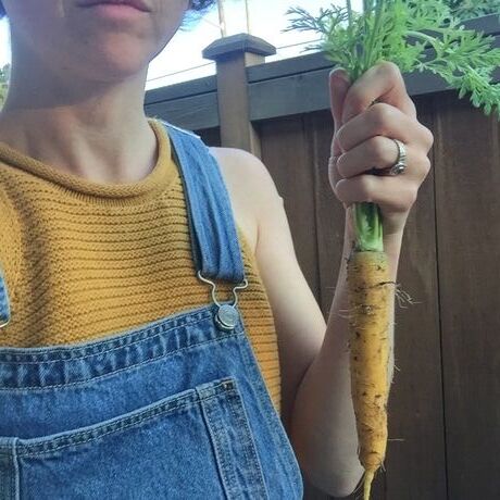 61311091 85dd 4d66 a054 3c32333b6f6c