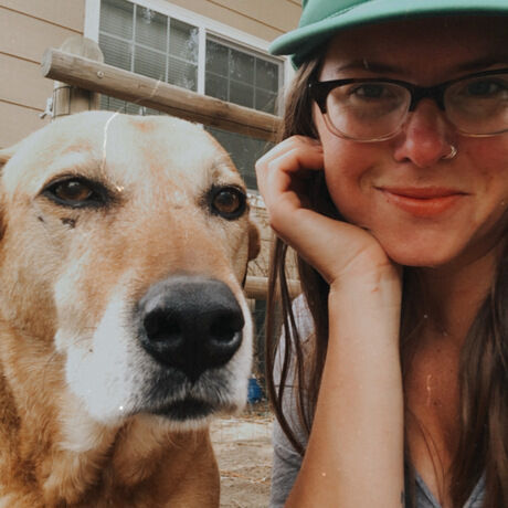 585bf543 239a 4f80 9390 600eed7b053c