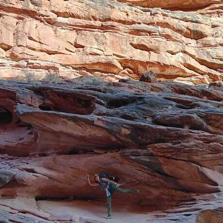 Imagen de whatsapp 2024 03 25 a las 18.16.21 c2bcb55c