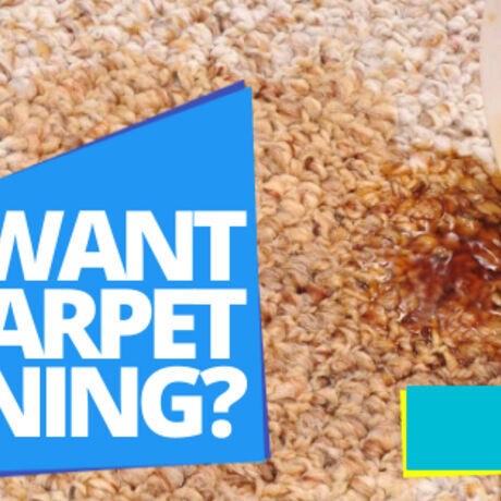 Carpet cleaning max quality  5 