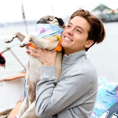 24eec66f5005cecec75f4c2ee2b1ff28