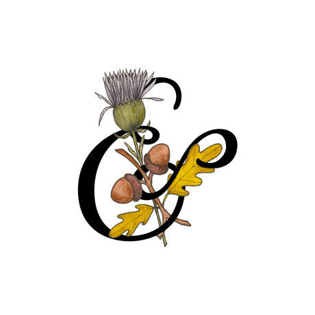 Ant logo trans square web