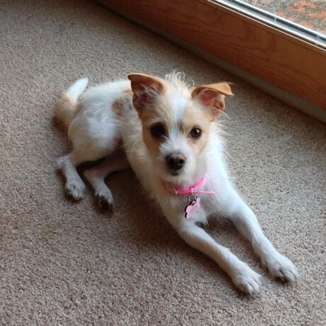 07e882b3 6925 49c4 a6fc 94942f56d153