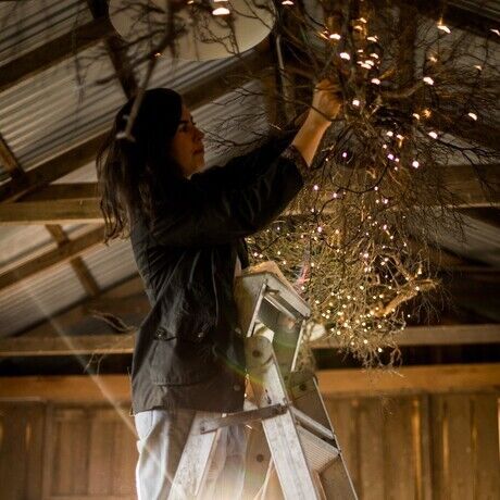 04 teatreecloud flindersislandwildweekend 2020 19 crop