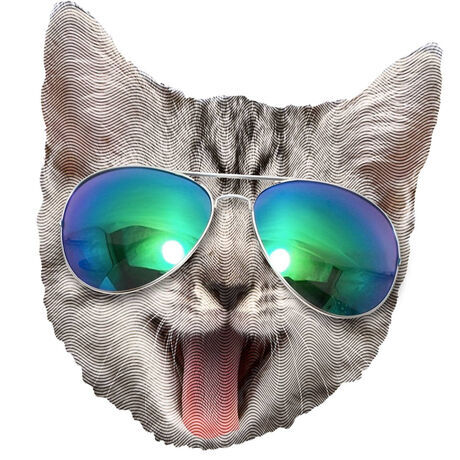 Sunglasses cat