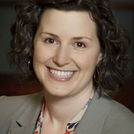 Portfolio 355 cropped web