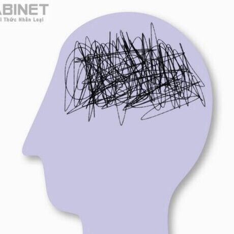 Wikicabinet anh 50 hieu ung tam ly kinh dien sieu thu vi 8