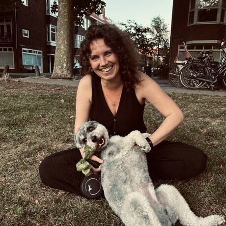 6859b6f8 0083 4f0d b5a2 9c772245eba7