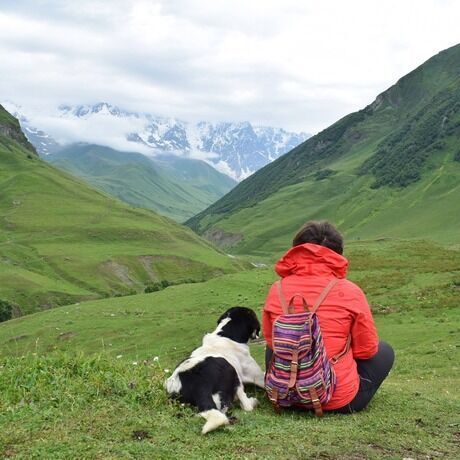 96277032 1500027440157764 2486683208507195392 o