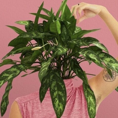 D54560a4 ca0d 423c 8a81 b45beeb70e90 1 201 a