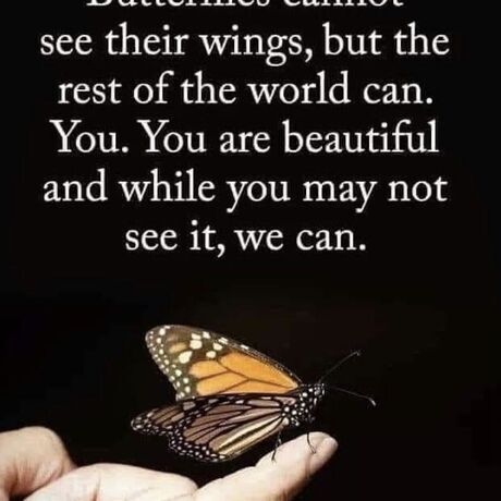 Ffe5f184 e169 4aaf 8432 bc5d8bfdd2bc