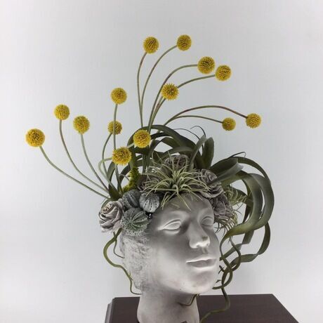 31664285 3829 4905 bde2 e5c2c7bc69c7