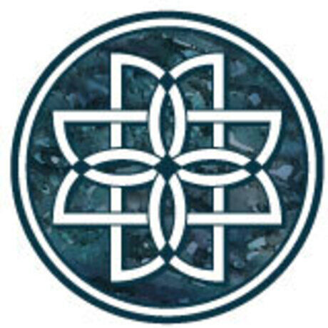 Dmd logo color circle