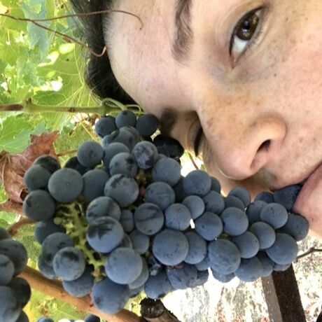 A4703ed3 b9f7 4a75 871b 78a815a6cc91