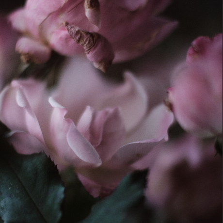 Screen shot 2023 07 19 at 9.16.47 pm