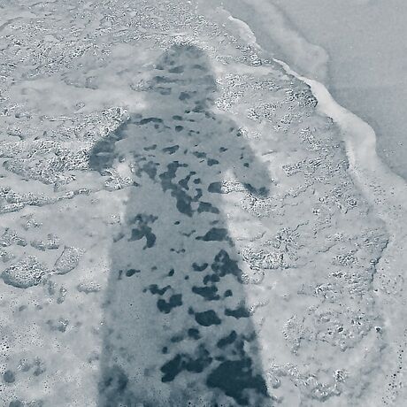 Ad23b827 81dd 4f46 8c61 ca2378337b5d 1 201 a