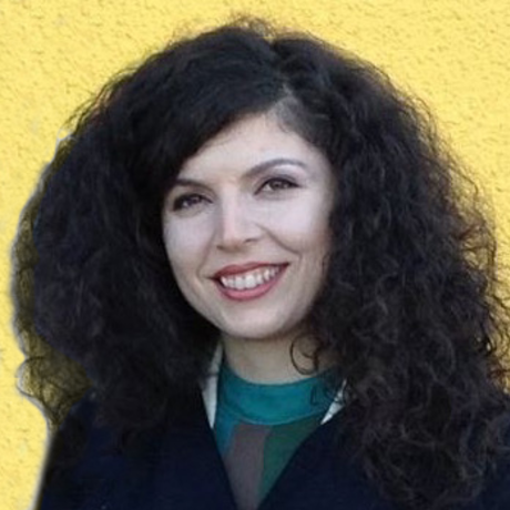 New reporting paradigm asya sturgell