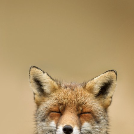 21bf77c7 2ca1 4f4b 8378 f8a9f81e3278