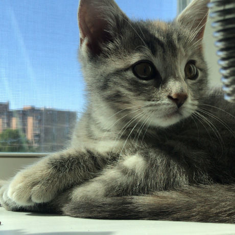 8682e274 d97d 411b b0b2 b4e79d46a81d