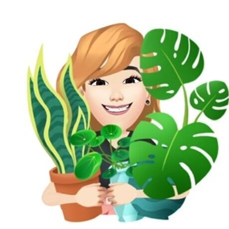 3b83f6ab d593 4475 a23b 54366881fd0d