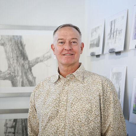 Wil bosbyshell studio with tree series 1 low res