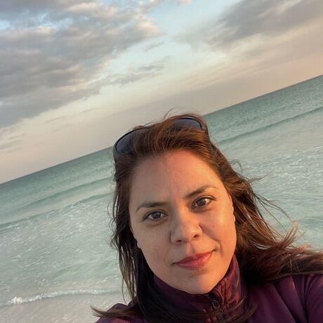 E1503b58 88ea 41f7 bd75 c466a8b3feee