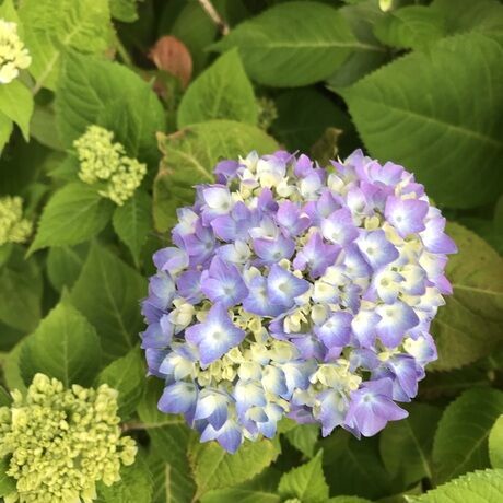 F2c5ae2b ccf4 4b0c 9402 3b7c132eda75