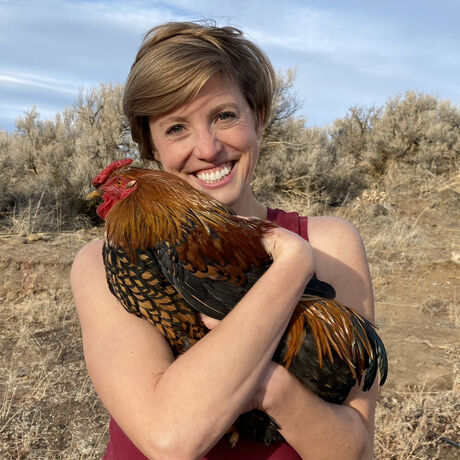 Bindithechristmasrooster