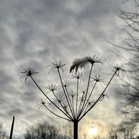 9939f0c2 d849 415b a5e5 47d261f1f5bb