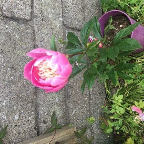 7dbf3e78 f903 4d78 bed1 2f9980c1cb80