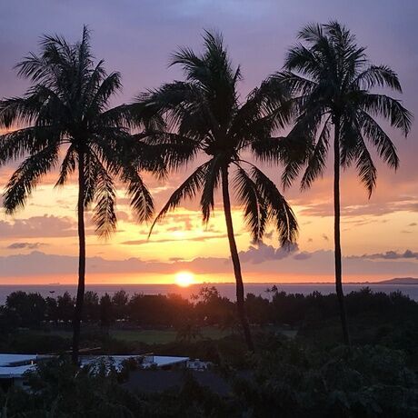 A77c0d13 0144 4174 9def 13dd81f20588