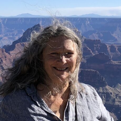 Efb60529 4655 4e97 87e7 88d870512cbc