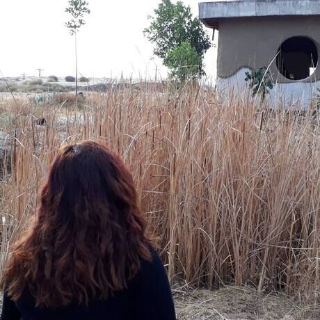 45221547 2248591512133225 3670882821037096960 n