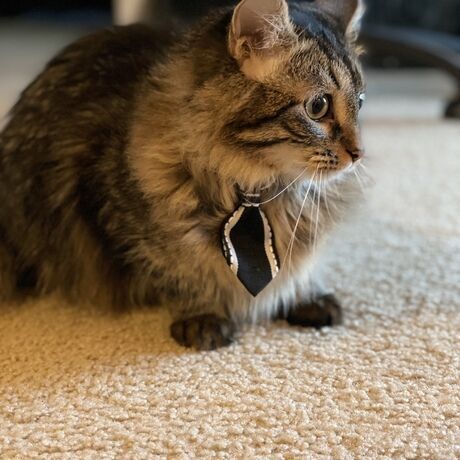 2ca6ffd5 62f1 404b b46d 689137425fc4